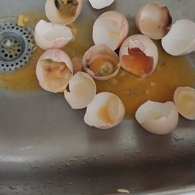 Onur Market Marketten Aldığımız Sözde Organik Gezen Tavuk Yumurtası