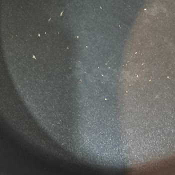 Karaca Züccaciye Karaca Müşteri İlgisizliği