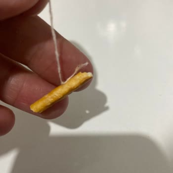 Torku Çubuktan İp Çıktı