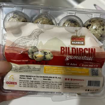 Güres Yumurta Bozuk Bıldırcın