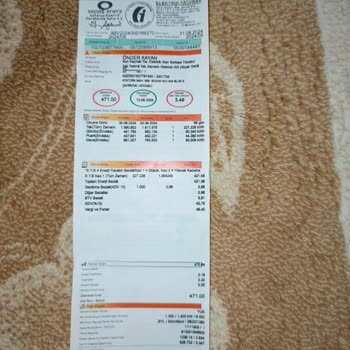 SEDAŞ Elektrik Faturasında Anormal Artış Ve Gecikme Sorunu