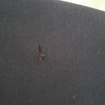 LCW Ürünü Yırtık Gönderdi Fakat Telafi Etmiyor