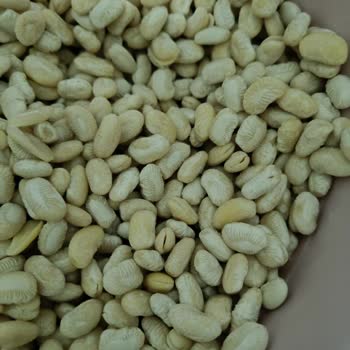 Turap Bakliyat Turap Marka Kuru Fasulye