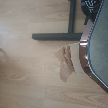 Bellona Sorumlu Kim Servis Mi Satıcımı