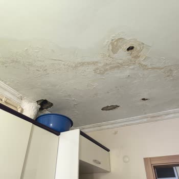 İstanbul Büyükşehir Belediyesi Komşulardan Gelen Su Kaçağı