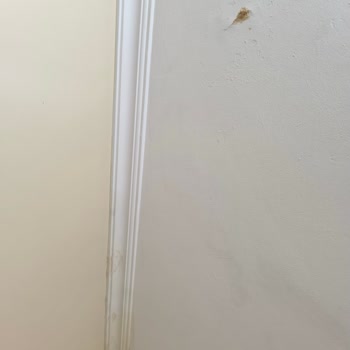 İstanbul Büyükşehir Belediyesi Komşulardan Gelen Su Kaçağı