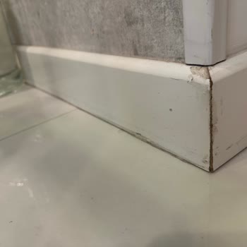 Conax Su Arıtma Sistemi Evimi Su Bastı Ve Müşteri Hizmetleri İlgisiz