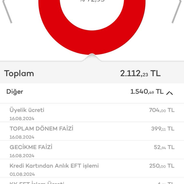 Akbank 704 Kredi Kart Üyelik Ücreti Kesmiş,339 Dönem Faizi 52 Gecikme