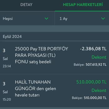 TEB Para Piyasa Fonu