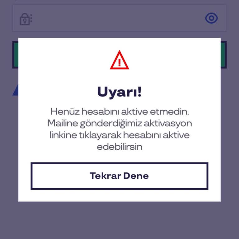 Pluxee Hesap Onay Sorunu