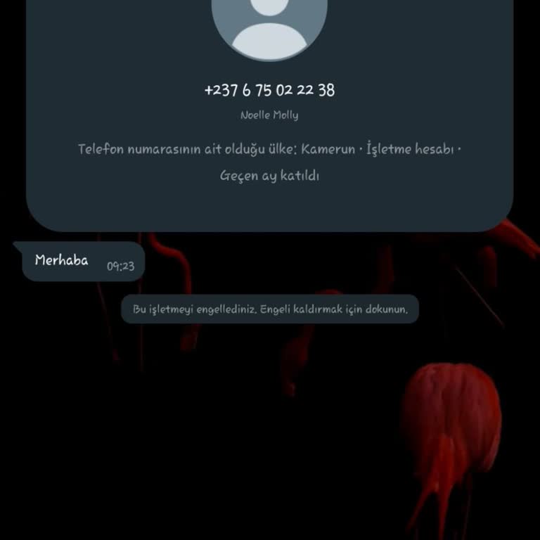 WhatsApp Güvenlik Sorunu