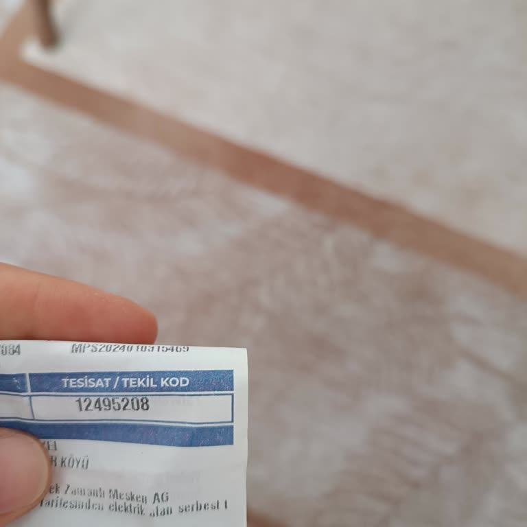 MEPAŞ Otomatik Ödeme Talimatı Veremiyorum