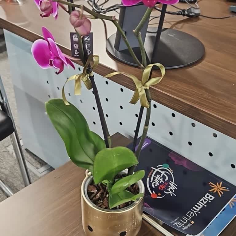 Çiçek Sepeti Aldığın Ürünü Göndermiyor