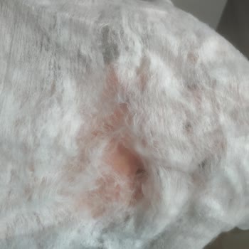 Sleepy Easy Clean Yüzey Temizlik Havlusu Parça Parça Oluyor