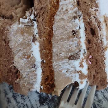 La Paste Sera 12 Kişilik Pastanın İçinden Fındık Ve Fıstık Yerine Karton Çıktı!