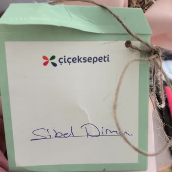 Taze Çiçek (tazecicek.com) Alakasız Çiçek İkinci Kez Yanlış Gelen Telafi Sipariş Eksik Ürün