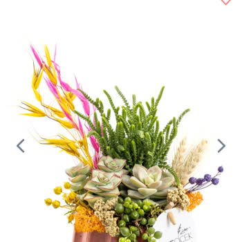 Taze Çiçek (tazecicek.com) Alakasız Çiçek İkinci Kez Yanlış Gelen Telafi Sipariş Eksik Ürün