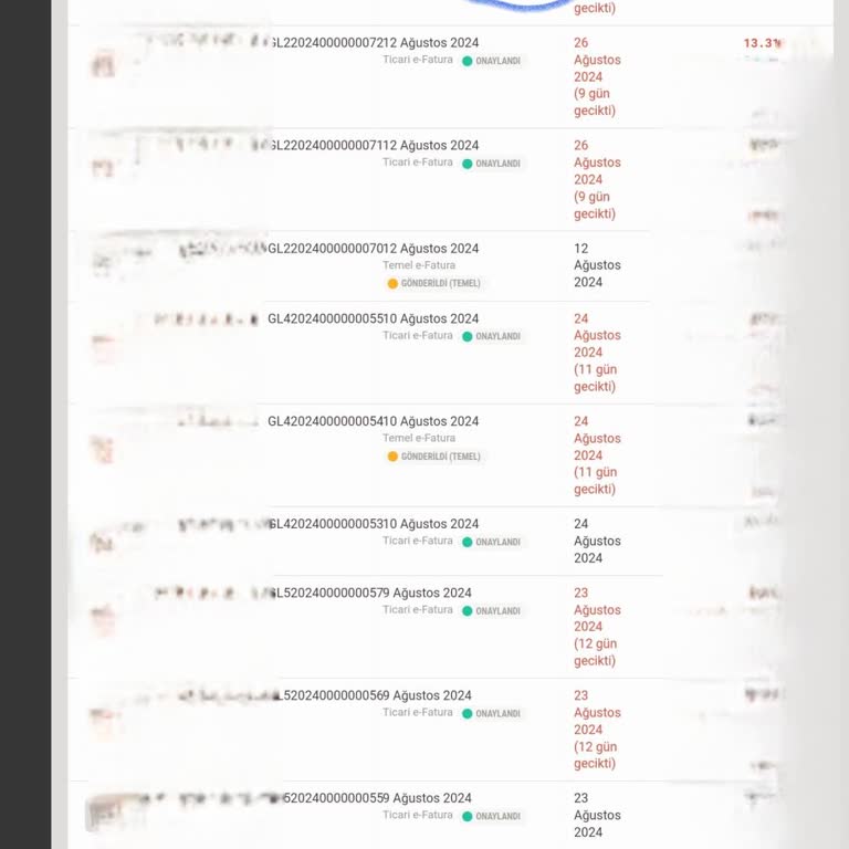 Paraşüt Muhasebe Programı Kuyrukta Bekleyen Belge Hatası