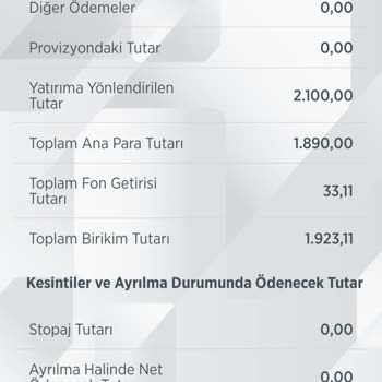 Türkiye Hayat Sigorta BES %100! Stopaj Kesintisi