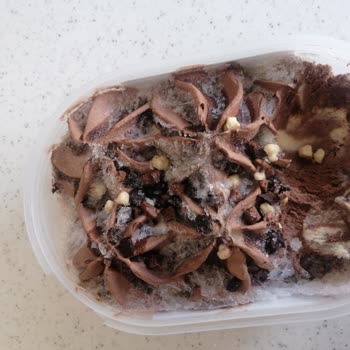 Carte d'Or Ekşi Tat Buzlu