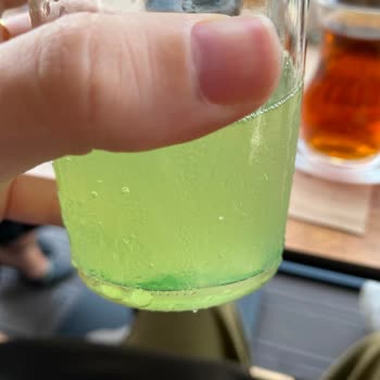 Schweppes Bitter Lemon İçecek