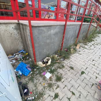 Şok Market Çevre Kirliliği