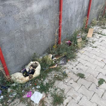 Şok Market Çevre Kirliliği