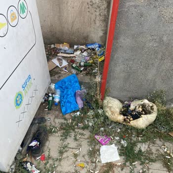 Şok Market Çevre Kirliliği