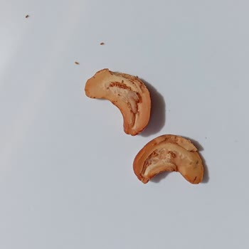 Migros Kajuları Kurtlu Çıktı