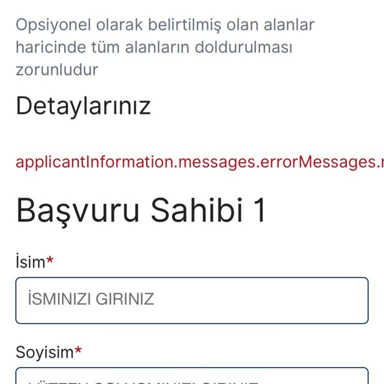 VFS Global İzmir Hollanda Başvurusu