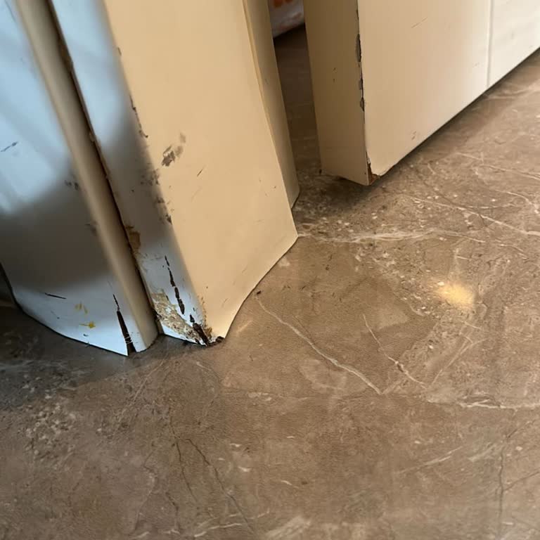 Allianz Sigorta Allianz Açıktan Geçen Tesisat Karşılamaması...