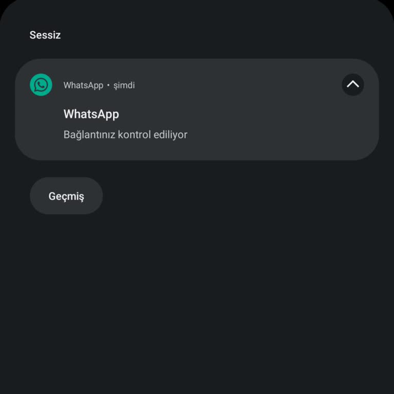 Omix WhatsApp Ve Instagram Erişim Sorunu