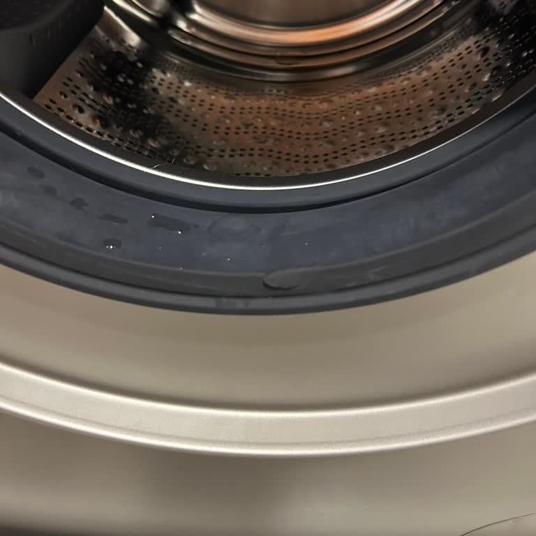 Bosch 8 Series Çamaşır Makinesi 4 Ayda Su Akıtmaya Başladı