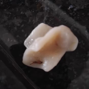 SuperFresh Mantıya Yapışmış Böcek