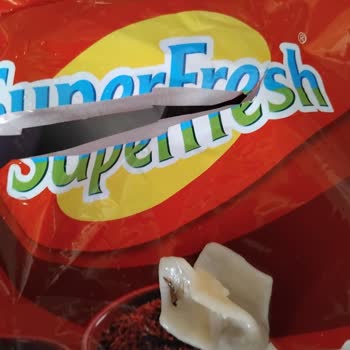 SuperFresh Mantıya Yapışmış Böcek