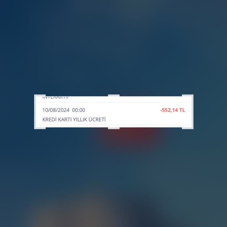 İş Bankası Yıllık Kredi Kartı Ücreti