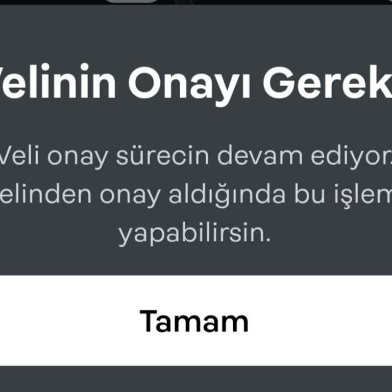 Papara Veli Onayı Sorunu