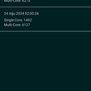 Samsung Galaxy S24 (Cihazın Aşırı Isınması Hk.)