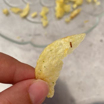 Lays Cips Paketinden Çıkan Böcek Ve Küflenmiş Çürük Cips