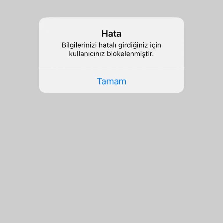 ING Şifre Sıfırlama Ve Bloke Sorunu