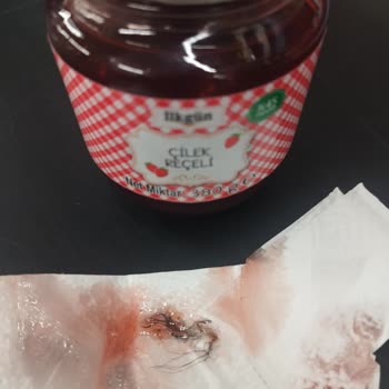 BİM Marketten Aldığım Reçelde Hijyen Sorunu