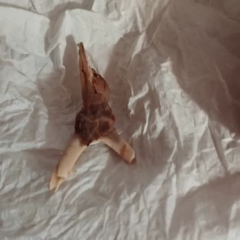 Sultanbeyli Devlet Hastanesi Sorumsuz Hastane Gereken Yapılsın