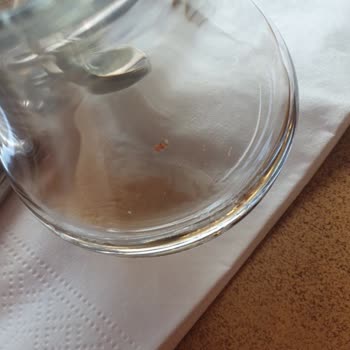 Sultan Pastanesi Önümüze Gelen Şey İnanılır Gibi Değil