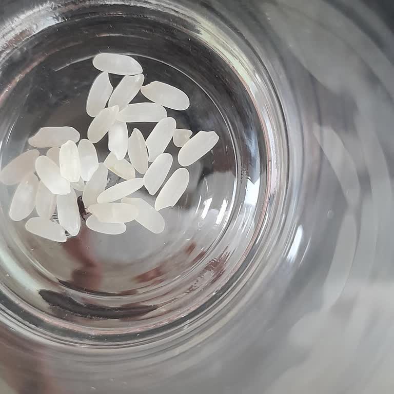 Duru Osmancık Pirinç Böceklenme