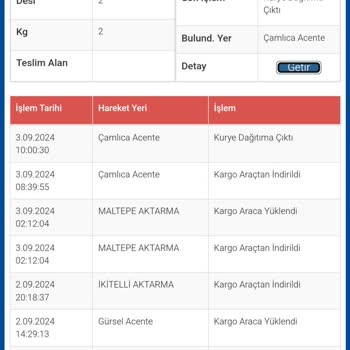 Sürat Kargo Gelmeyen Teslimat Problemi