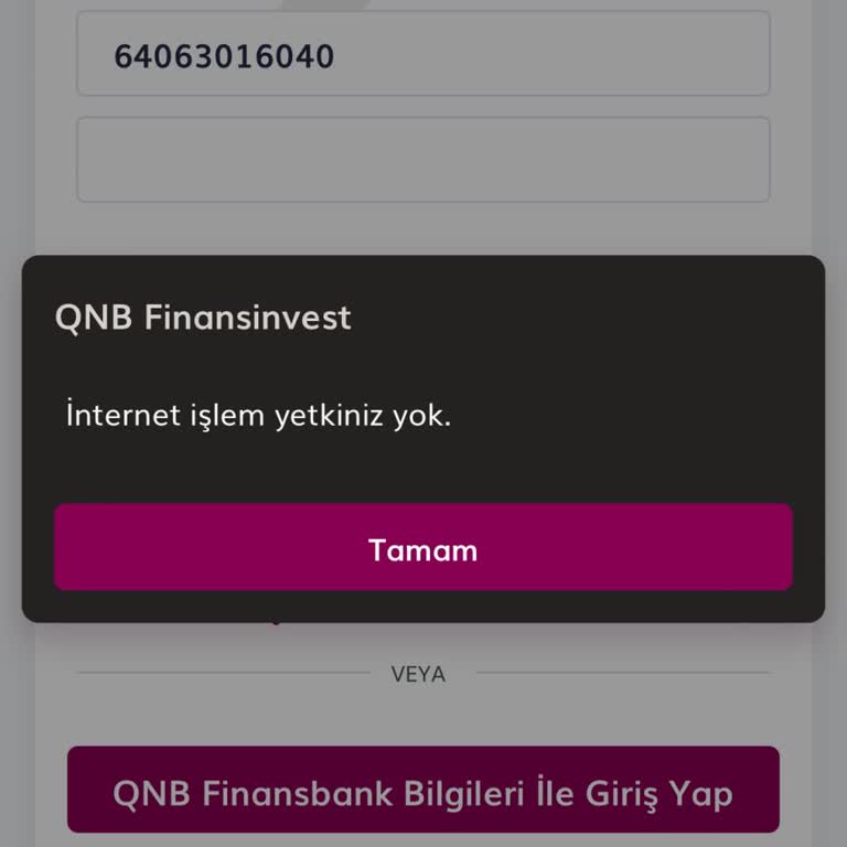 Finansinvest İnternet Erişimi Yok