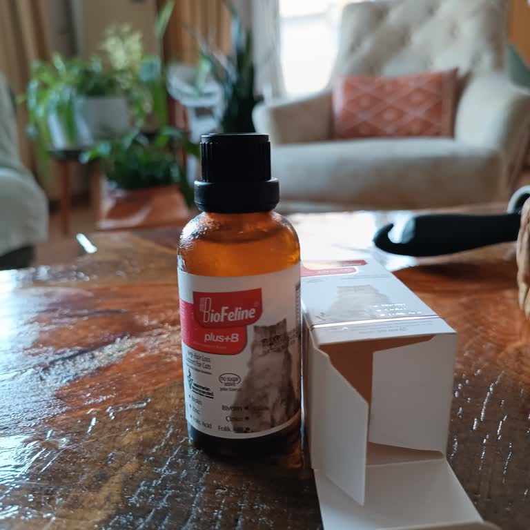 BioFeline Kedimin Sağlığı İçin Endişe Verici Mama Deneyimi