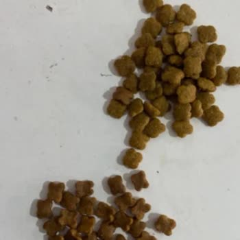 Hepsiburada'dan Lusy (iki S) AVM Global Satıcıdan Aldığım Mama Sahte