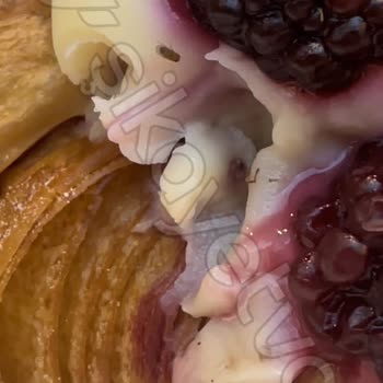 Lime Alaçatı İstinyepark Mağazasında Meyveli Kruvasan Üstünde Böcek!