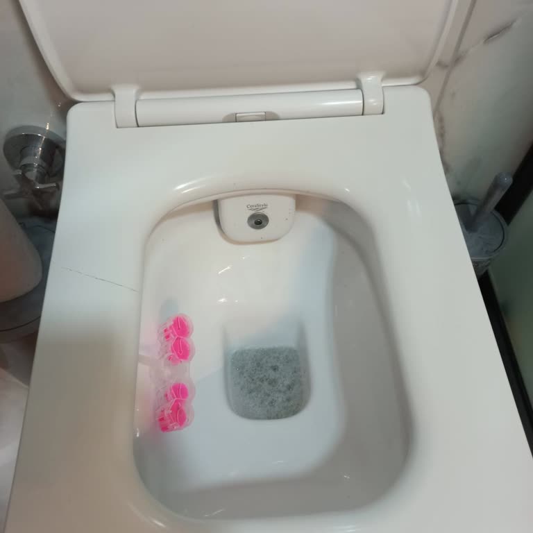 Turkuaz Seramik Cerastyle Turkuaz İbiza Klozet Kapağı Kırılması Hakkında